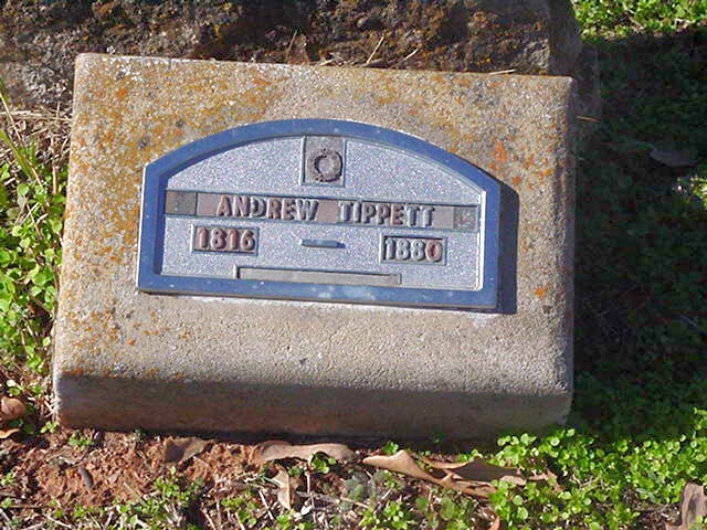TippetAndrew.JPG